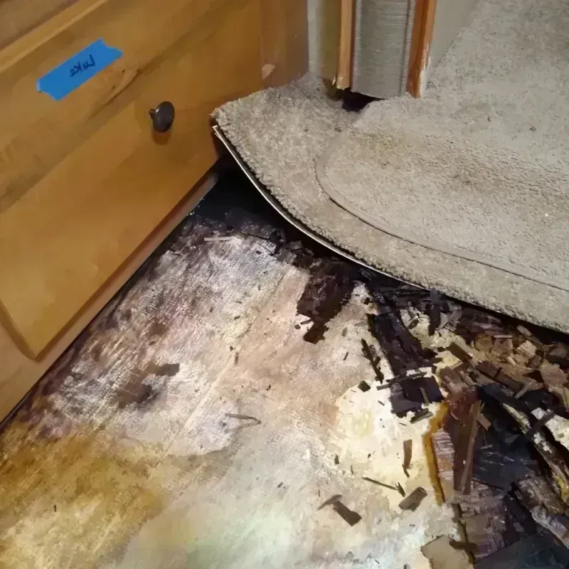 Wood Floor Water Damage in Quincy, WA